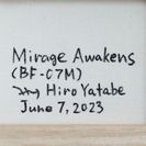 Mirage Awakens6