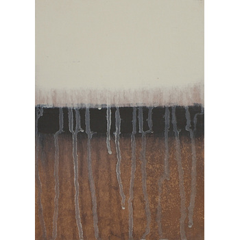 冬　ーあほう鳥ー1