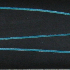 No Title (20100907-02)