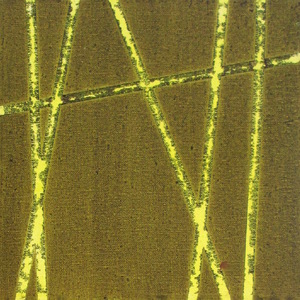 No Title (20131031-03)