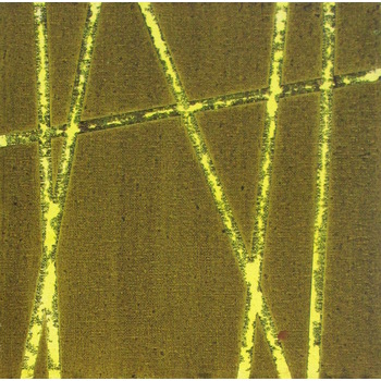 No Title (20131031-03)1