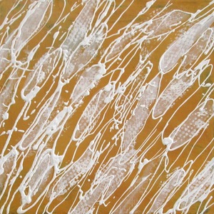 夕日の波しぶき