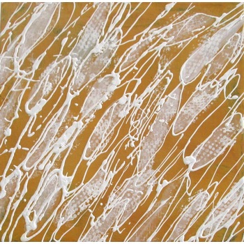 夕日の波しぶき1