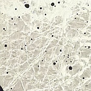 No Title (20140409-32)