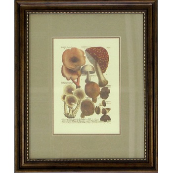 No Title (20140428-11)1