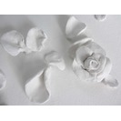 No Title (20150724-04)3