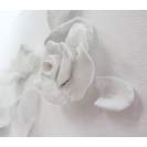 No Title (20150724-04)4