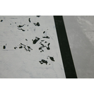 No Title (20170404-06)4