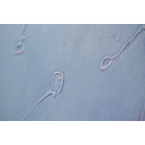 No Title (20170404-11)3