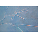 No Title (20170404-11)4