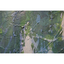 No Title (20170404-12)4