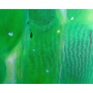 No Title (20160120-01)3