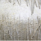 No Title (20160412-05)5