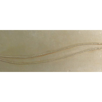 No Title (20160902-11)1