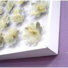 No Title (20161020-01)3