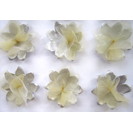 No Title (20161020-01)4