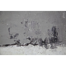 No Title (20170509-36)3