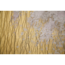 No Title (20170509-37)3