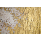 No Title (20170509-37)5