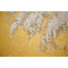 No Title (20170509-38)4