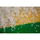 No Title (20170509-38)5