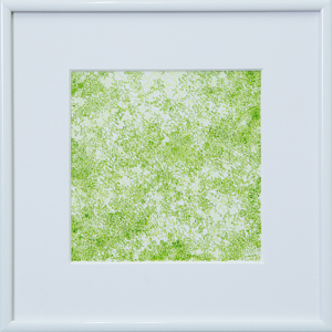 桜のような・・・