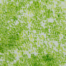 桜のような・・・4