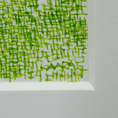 桜のような・・・5