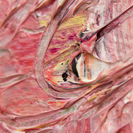 TSUNAGU -Inspiration- #43