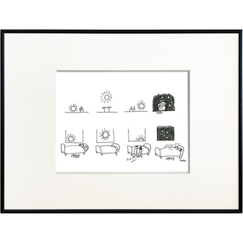 植物の向日性　人間の向陰性1