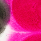 黒のアレンジメント3